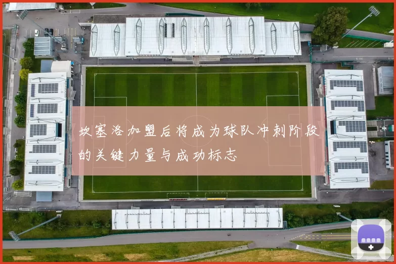 坎塞洛加盟后将成为球队冲刺阶段的关键力量与成功标志